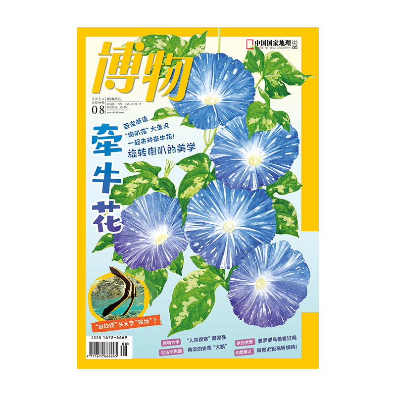 《博物》2024年第08期