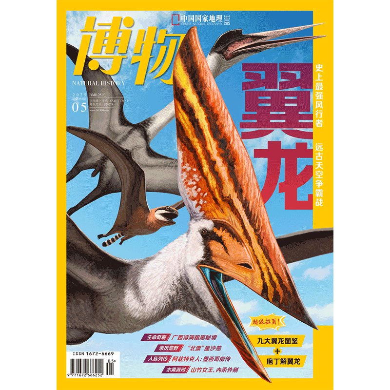 《博物》2025年第05期