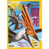 《博物》2025年第05期