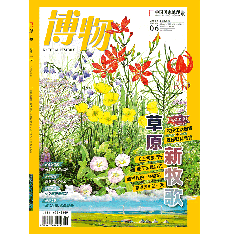 《博物》2025年第06期