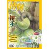 《博物》2025年第08期