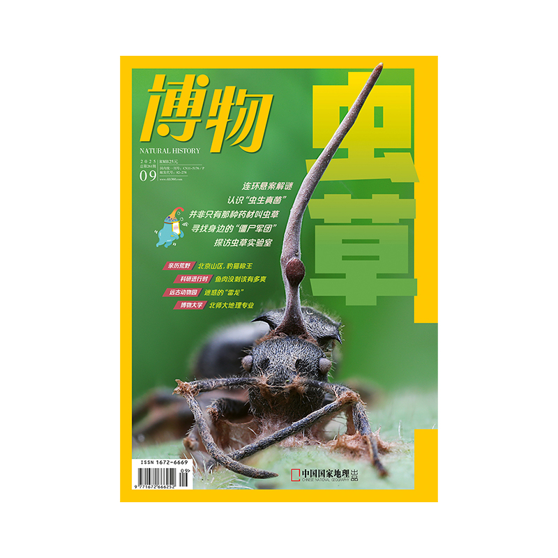 《博物》2025年第09期