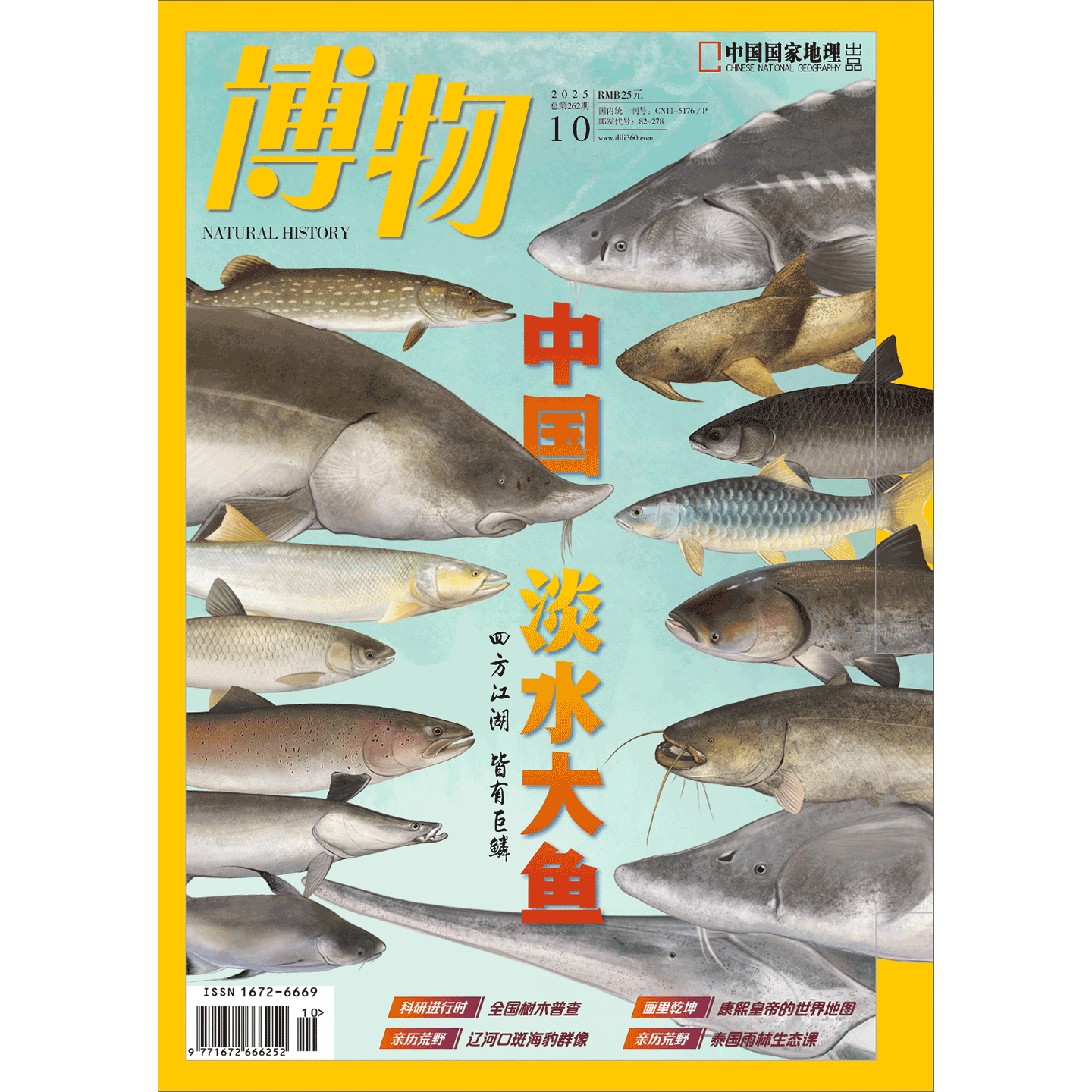 《博物》2025年第10期
