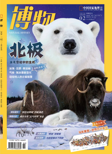 《博物》2026年第02期