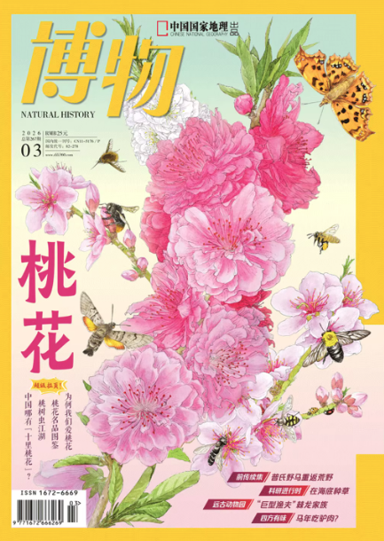 《博物》2026年第03期
