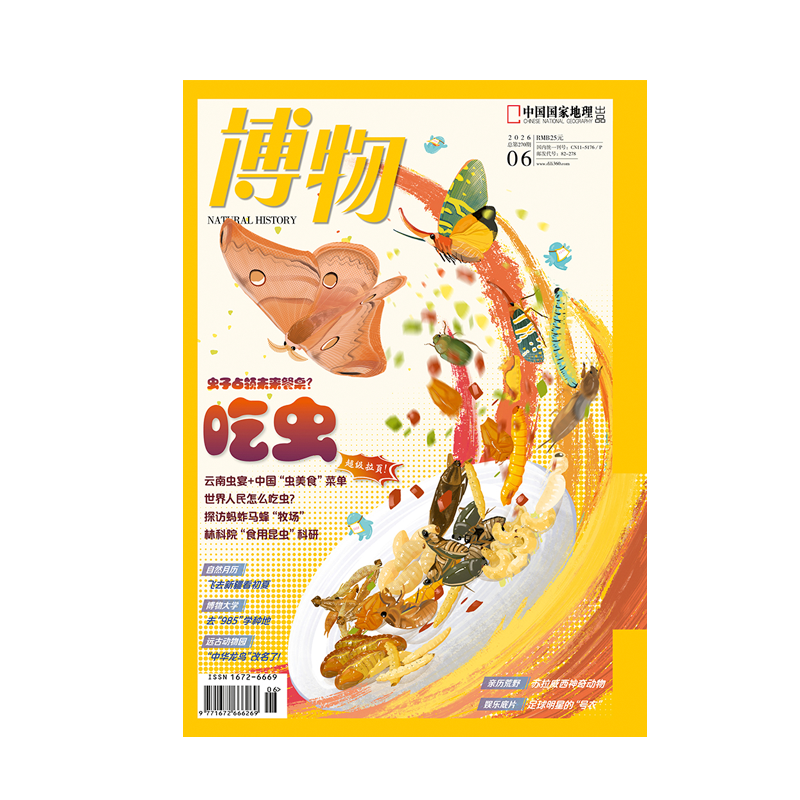 《博物》2026年第06期