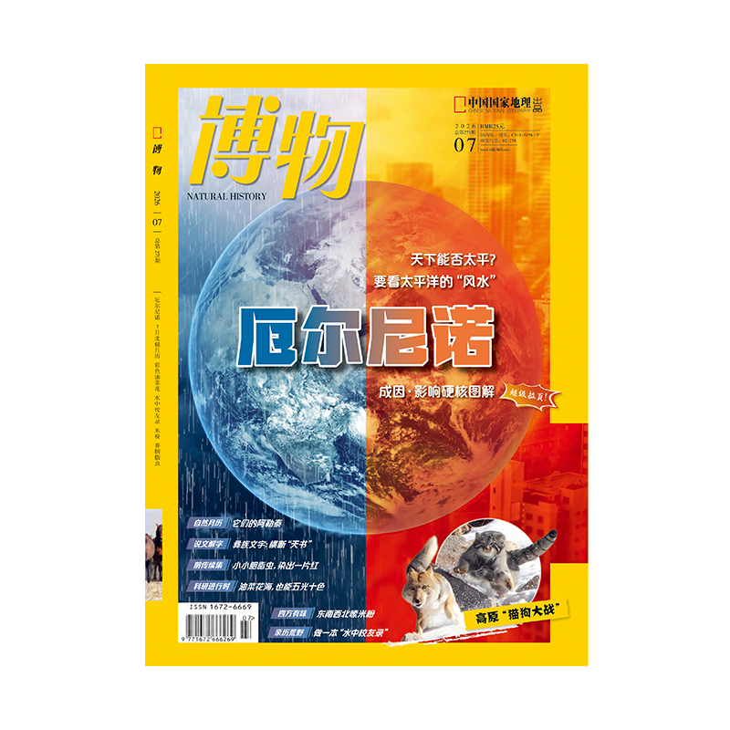 《博物》2026年第07期